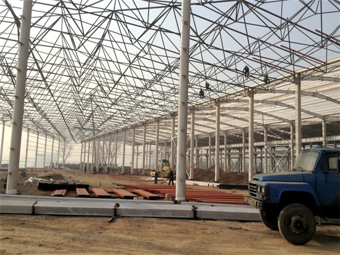 周口网架架构工程